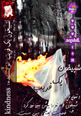 شبیخون یک فریب